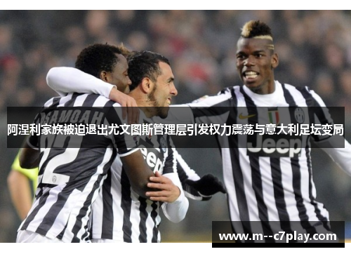 阿涅利家族被迫退出尤文图斯管理层引发权力震荡与意大利足坛变局 阿涅利家族被迫退出尤文图斯管理层引发权力震荡与意大利足坛变局