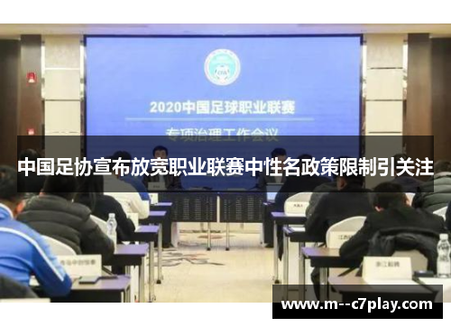 中国足协宣布放宽职业联赛中性名政策限制引关注